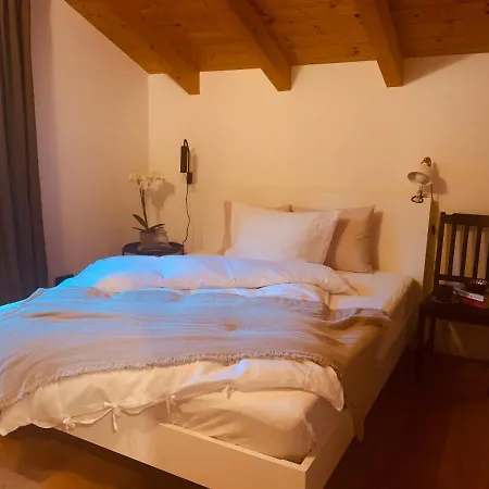 Mountainhome Birringer
